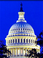 The U.S. Capitol Bulding dome.